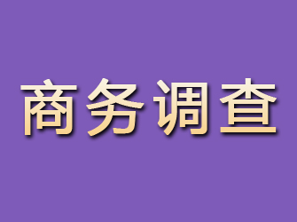 察布查尔商务调查